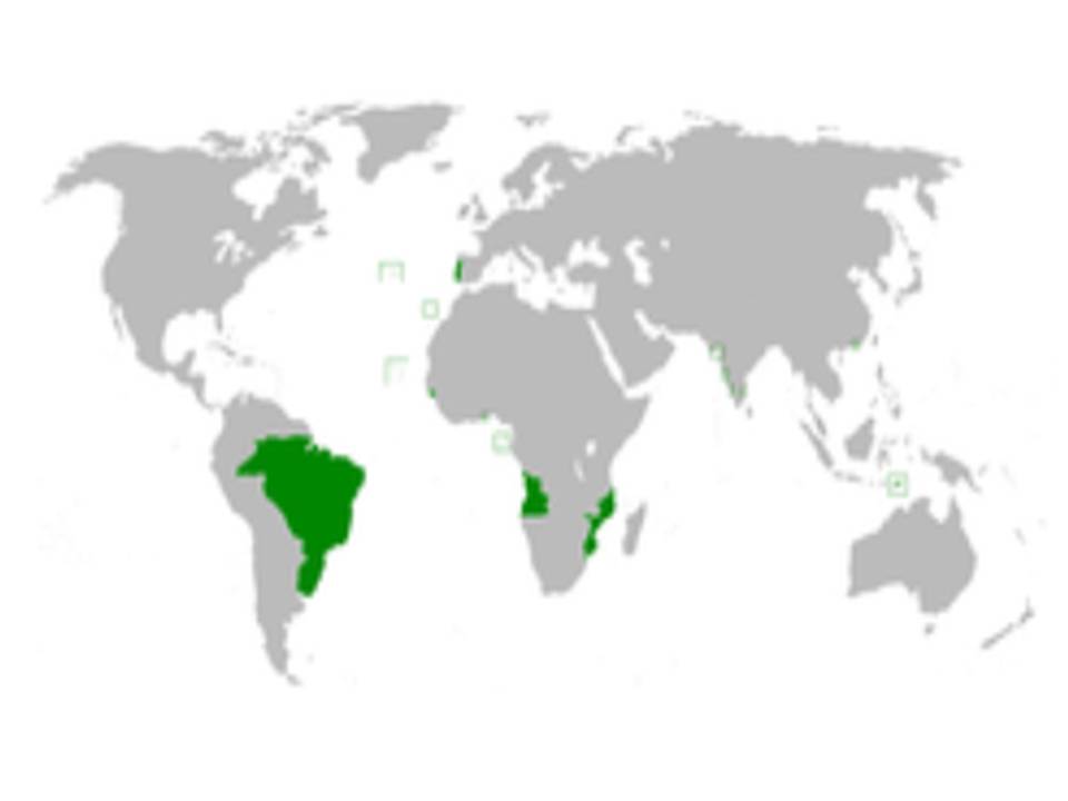 Mapa do Reino de Portugal e do Algarve, feito na Holanda, pelo